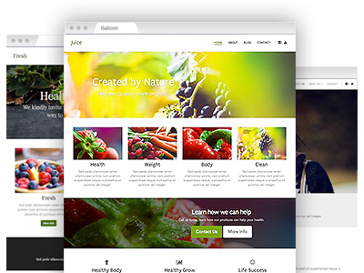 A selection of creative website templates